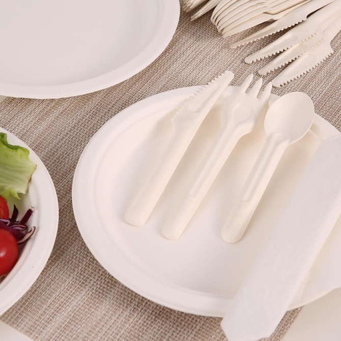 eGreen Bagasse Knife