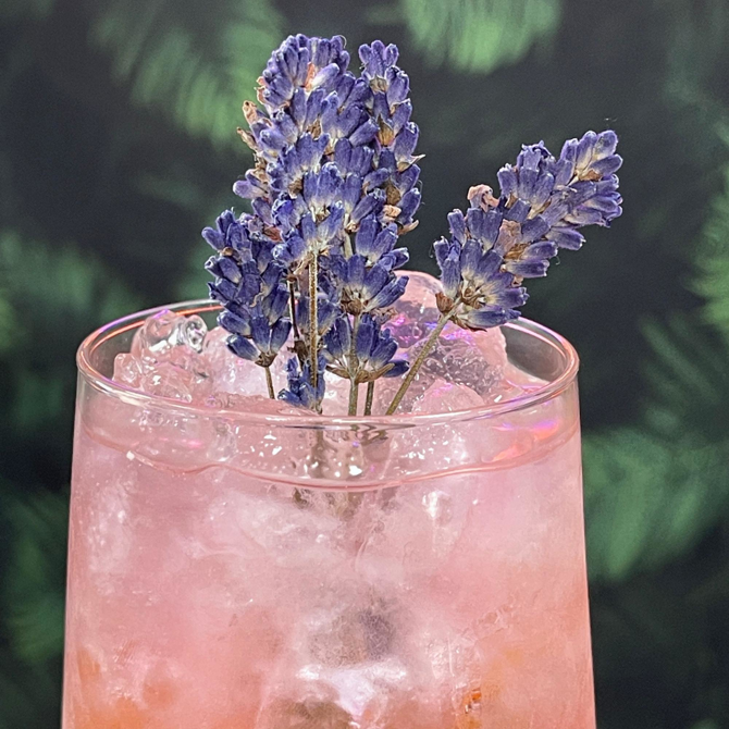 Dried Lavender Flowers, Count: 20