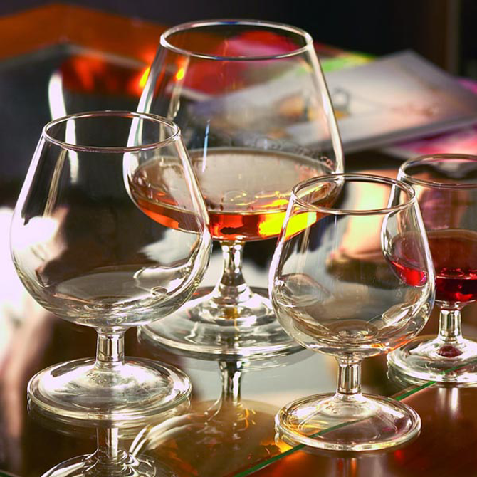Degustation Brandy Glasses 8.8oz / 250ml