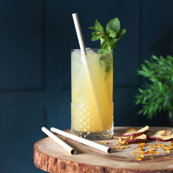 Bamboo Pulp Straws 8mm x 200mm