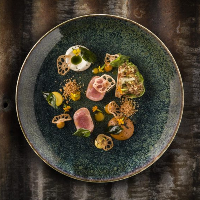 Vega Gourmet Flat Plate 17cm