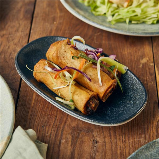 Vega Gourmet Oval Plate 24 x 14cm