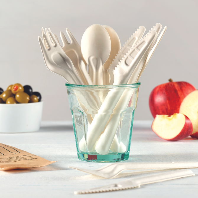 eGreen Bagasse Spoon