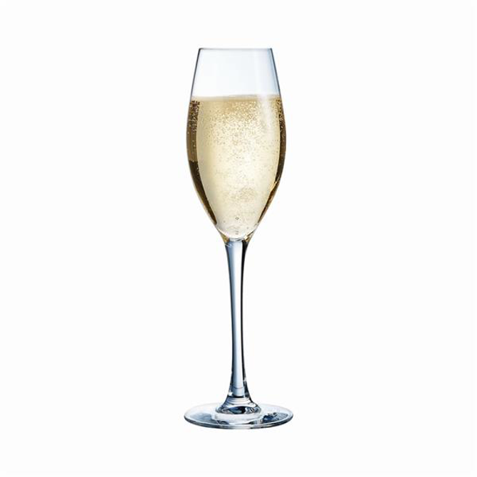 Sequence Grand Flute 240ml / 8.50oz