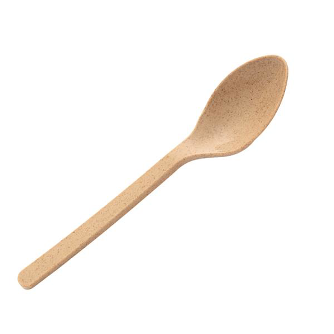 Agave Teaspoon 6inch / 15cm