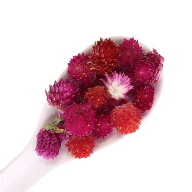 Dried Amaranth Pom Pom Flowers 3g