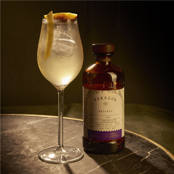 Monin Paragon Vetiver 48.5cl