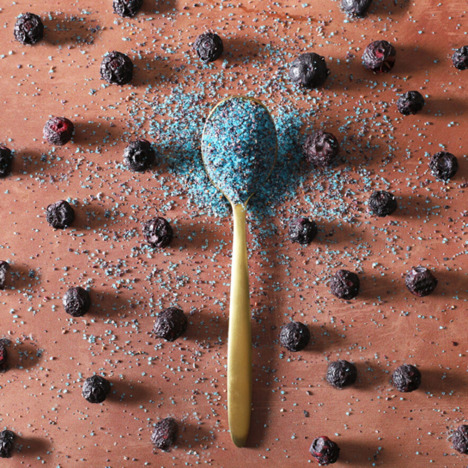 Frona Dried Blueberry Mini Pack 10g
