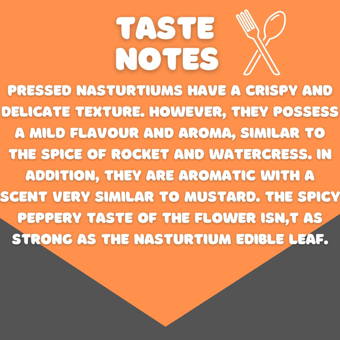 Pressed Nasturtium Flowers, Count: 12