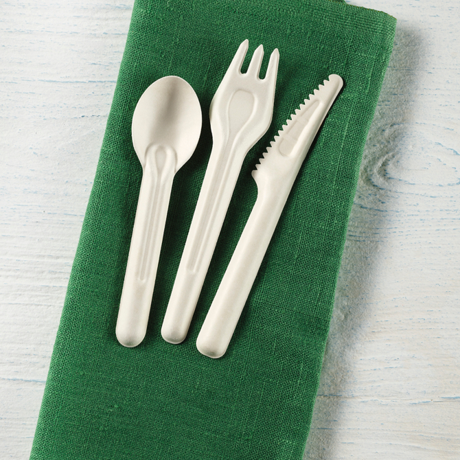 eGreen Bagasse Spoon