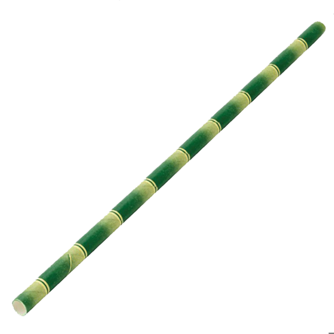Paper Bamboo Straws 8inch