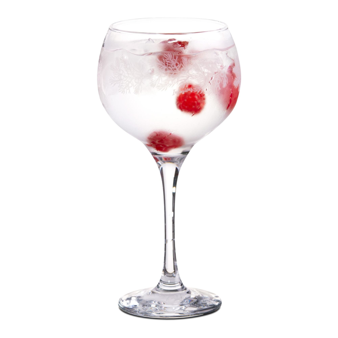 Ambassador Infusion Gin Glasses 19.75oz / 560ml