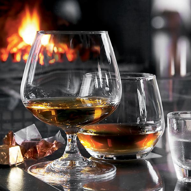 Degustation Brandy Glasses 8.8oz / 250ml