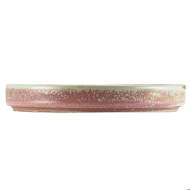 Terra Porcelain Presentation Plates Rose 8.3inch / 21cm