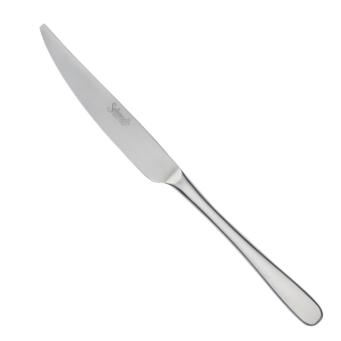 Style Ice 18/10 Table Knife