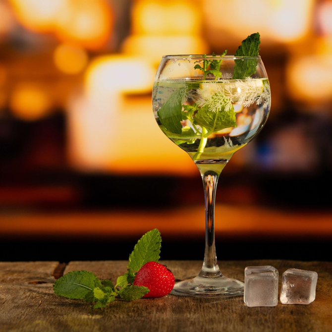 Ambassador Infusion Gin Glasses 19.75oz / 560ml
