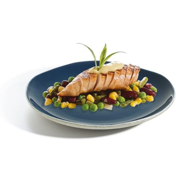 Rocaleo Marine Plate 10inch / 25.5cm