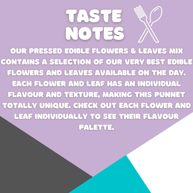 Pressed Flower & Leaf Mix Count-20