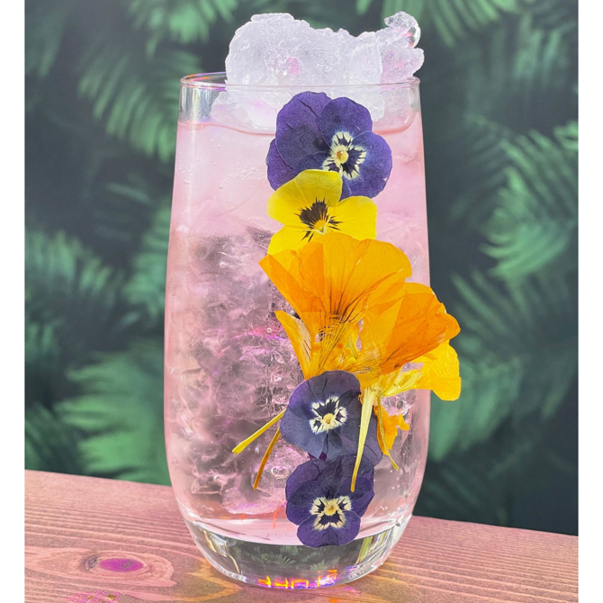 Pressed Viola Flowers Count - 25