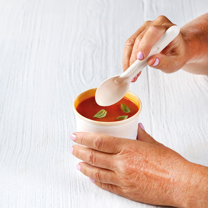 eGreen Bagasse Spoon