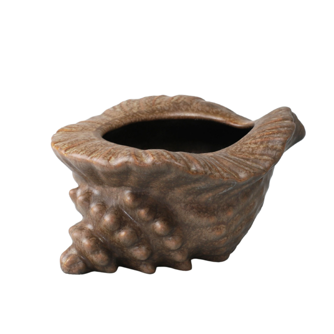 Conch Shell Tiki Cup 12.3oz / 350ml