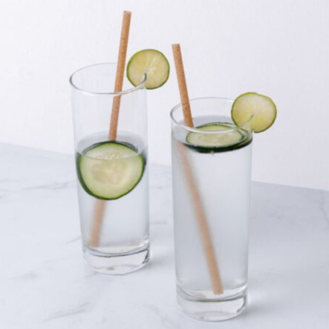 Agave Natural Cocktail Straw 6inch / 15cm