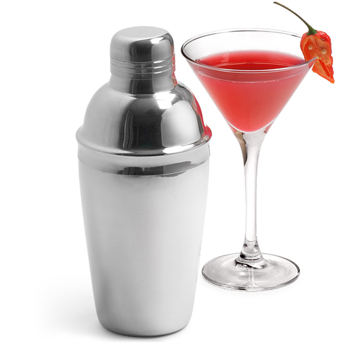 Stainless Steel Cocktail Shaker 18oz