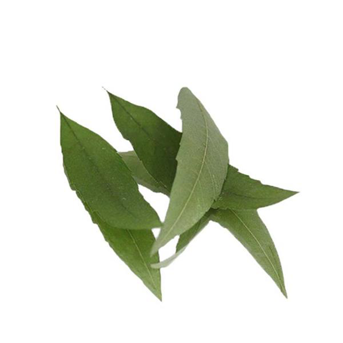 Pressed Lemon Verbena Leaves Count:20