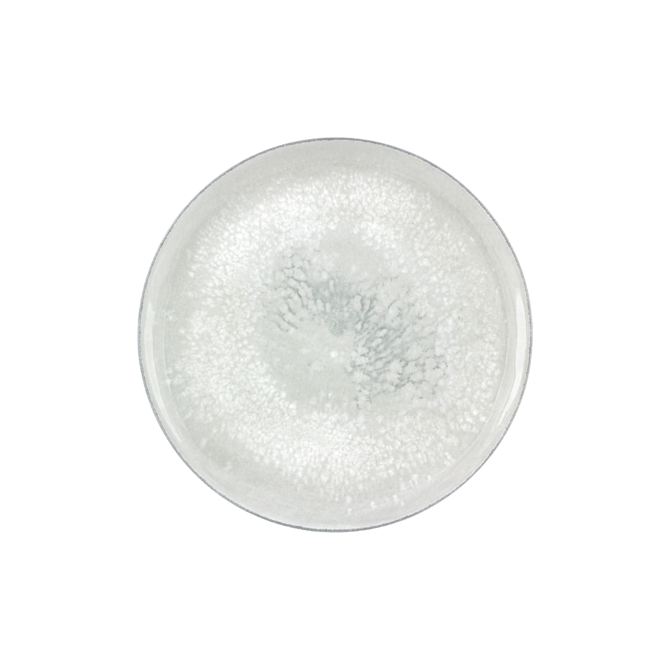 Smart Salt Coupe Plate 8inch / 20cm