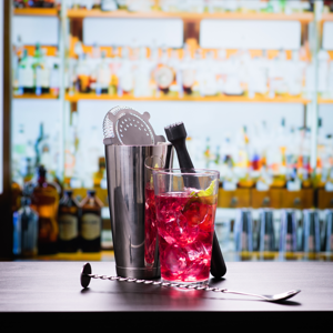 Starter Boston Cocktail Shaker Set